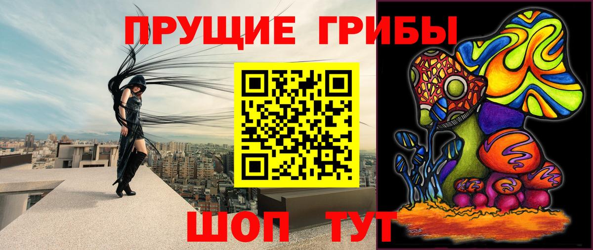 Дзержинский  Псилоцибиновые грибы мицелий  Вход с VPN 